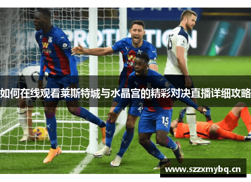 如何在线观看莱斯特城与水晶宫的精彩对决直播详细攻略